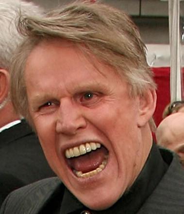 gary busey crazy  quotes